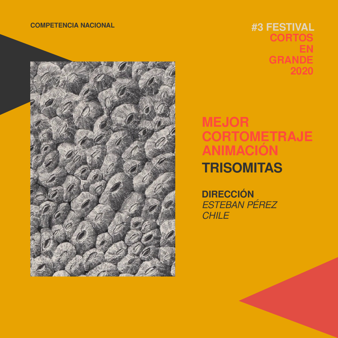 ganadoresxcategoria-04
