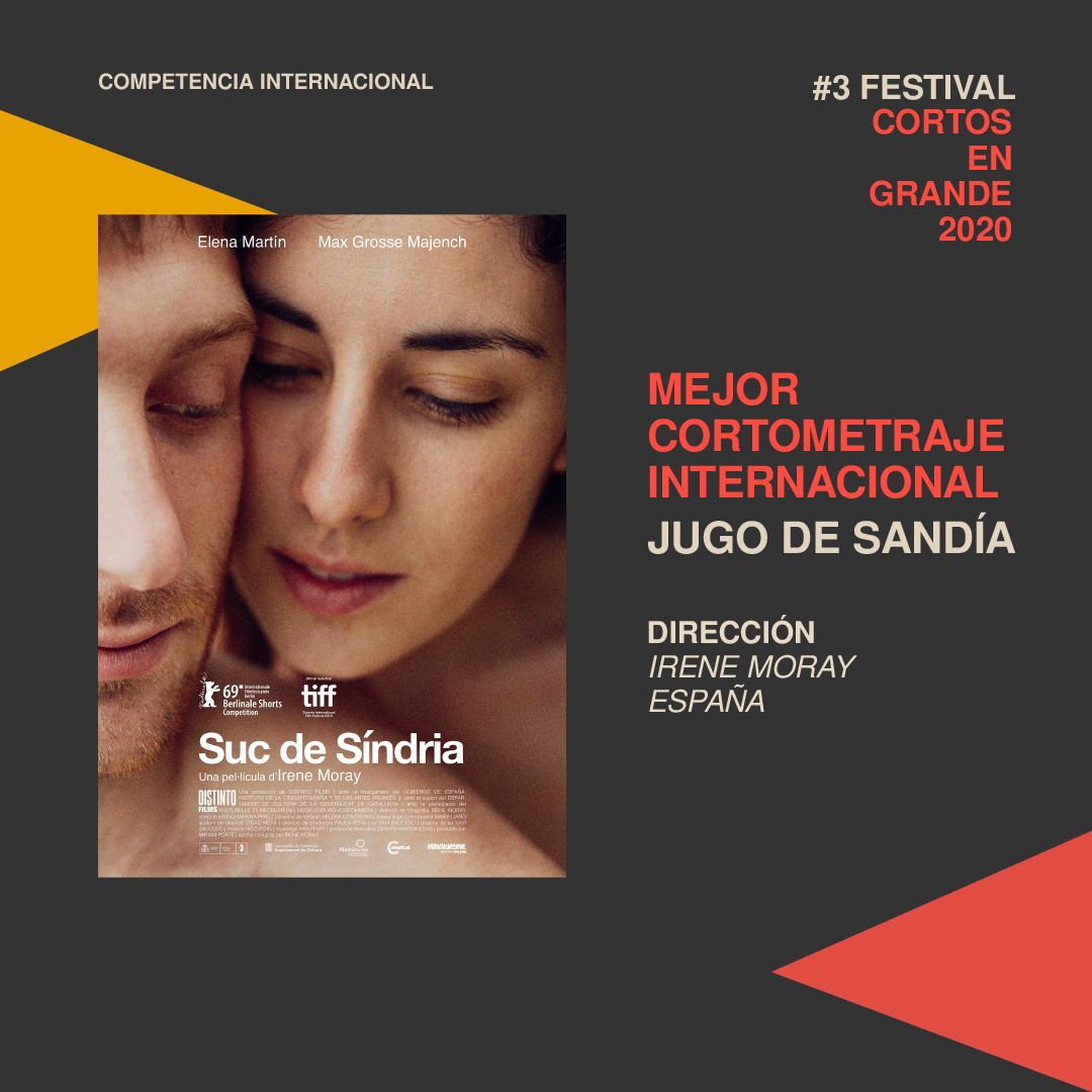 ganadoresxcategoria_Mesa de trabajo 1
